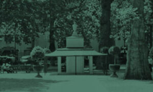 2017-06-21-11.02.43-Green_PromoBox_LR